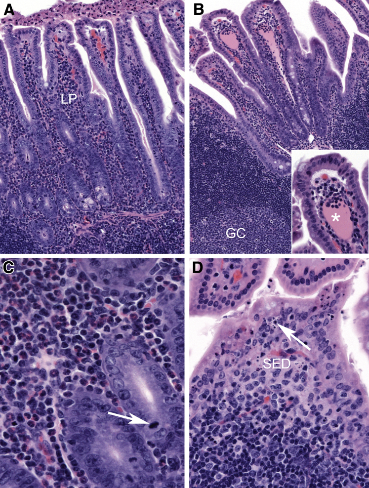 Figure 2