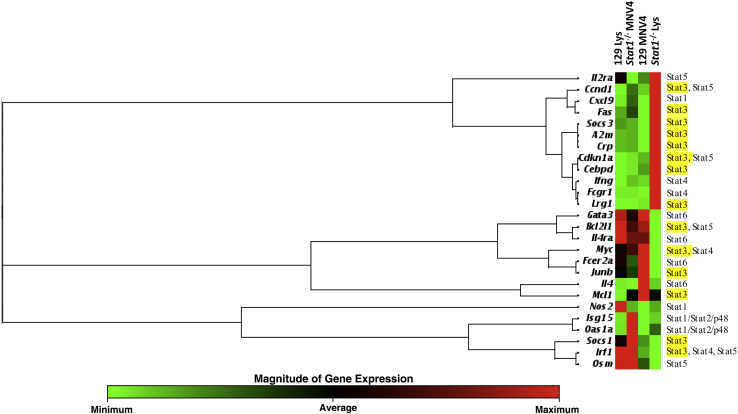 Figure 7