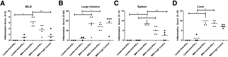 Figure 6