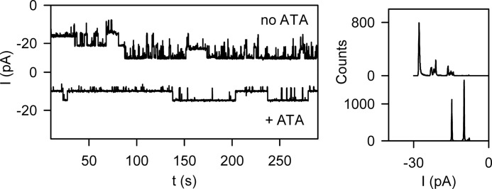 FIGURE 4.