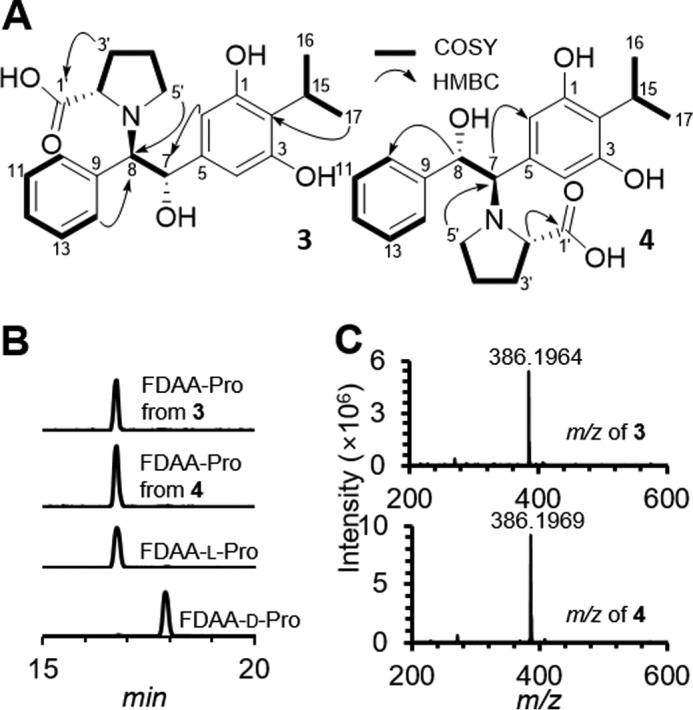 Figure 5.