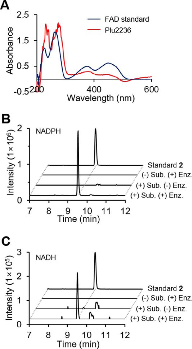 Figure 3.