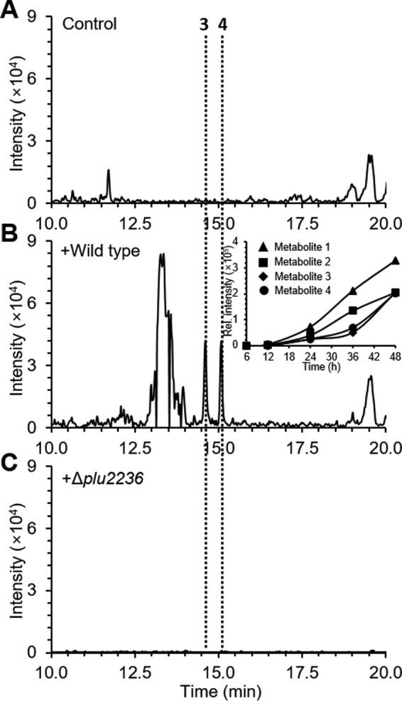 Figure 4.