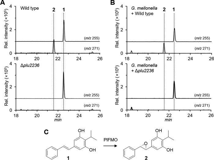 Figure 2.