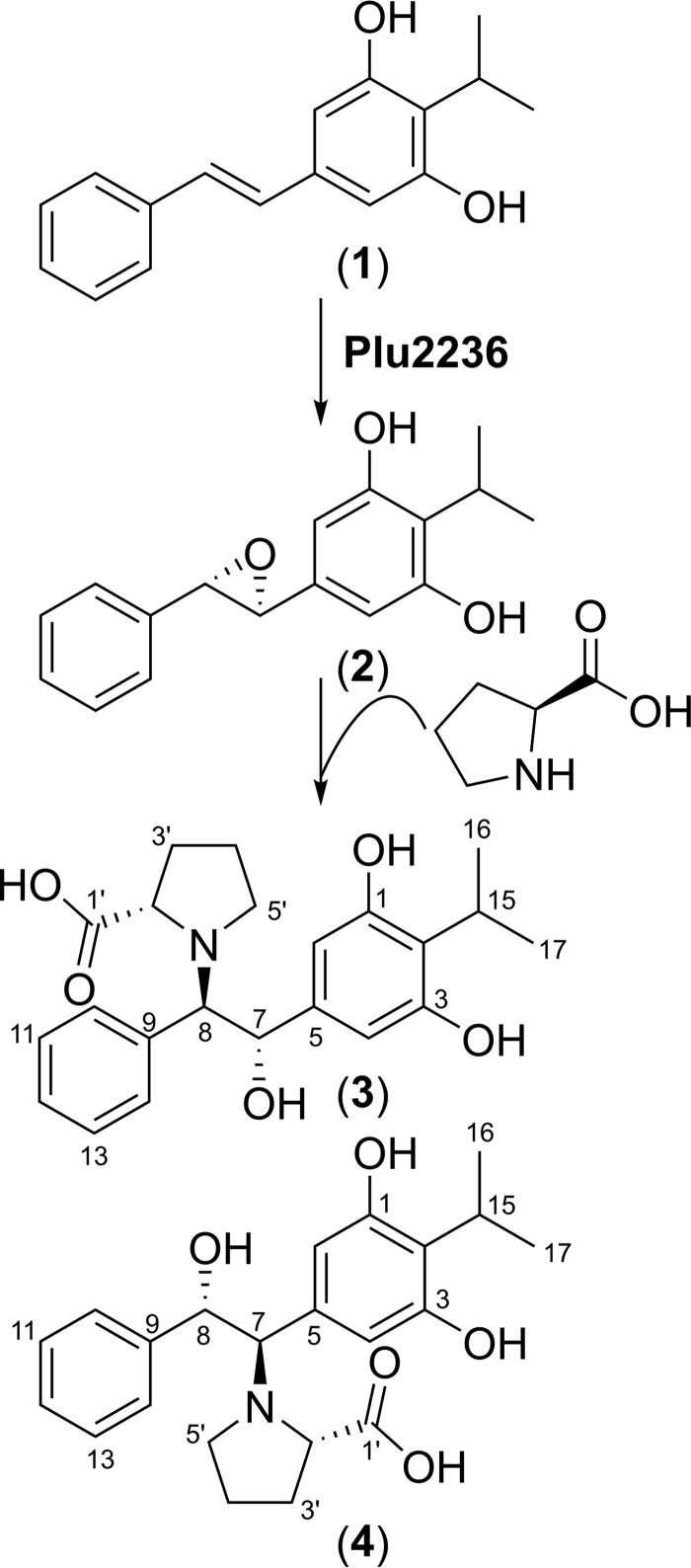 Figure 7.