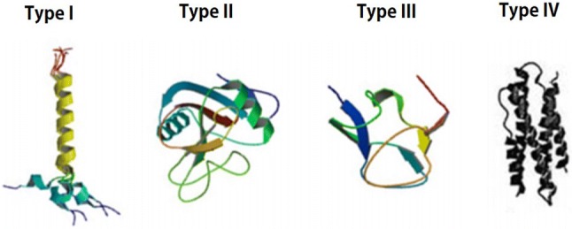 Fig. 1