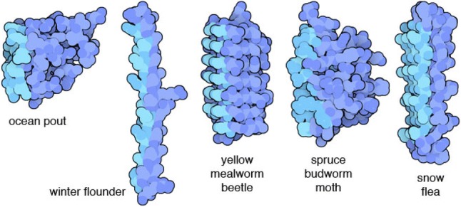 Fig. 4