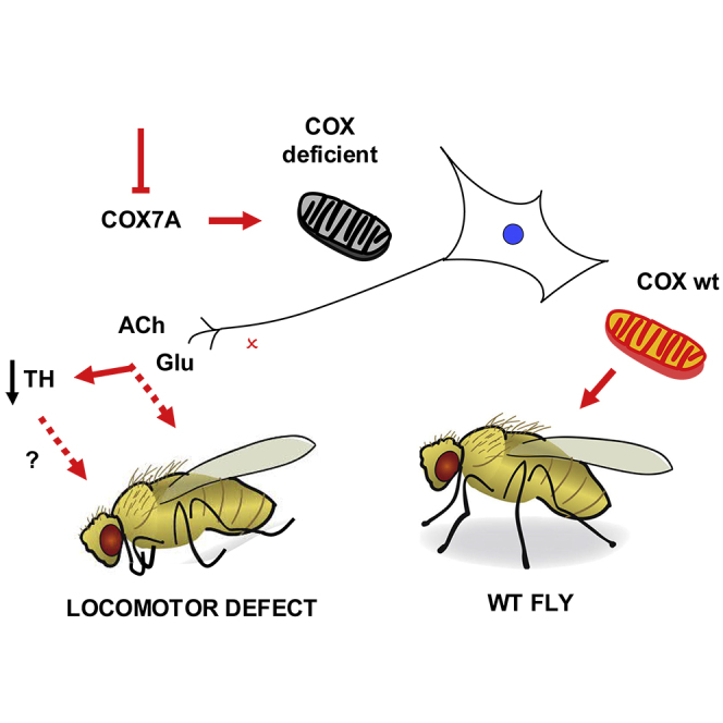 graphic file with name fx1.jpg