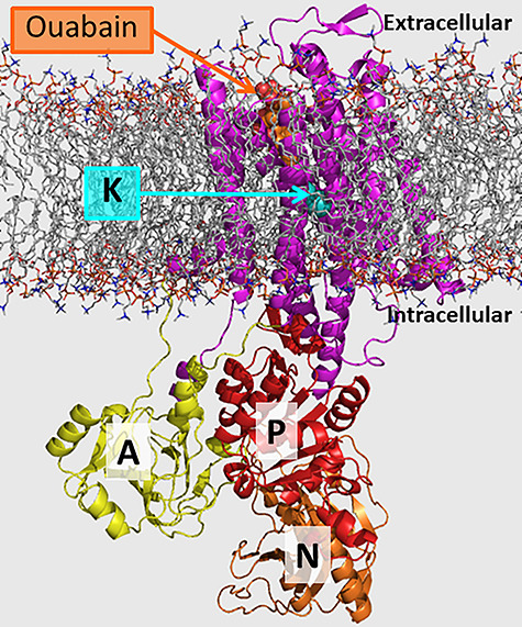 Figure 6