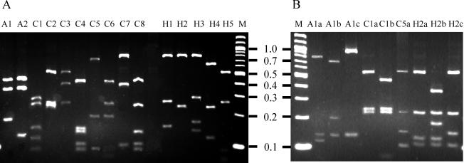 FIG. 1