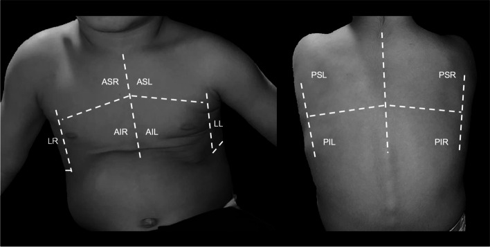 Fig. 2