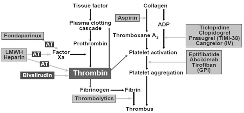 Fig. (1)