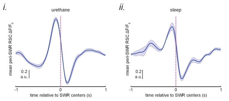 Figure 5—figure supplement 3.