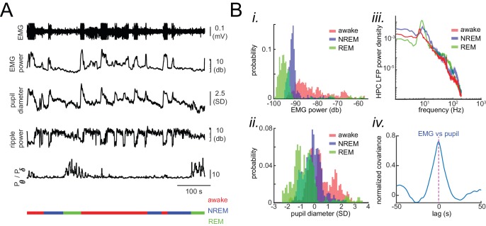 Figure 1—figure supplement 2.