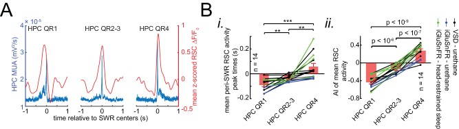 Figure 6—figure supplement 1.