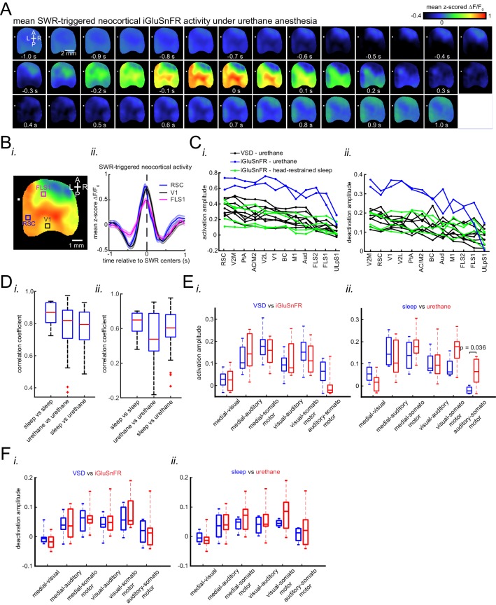 Figure 2—figure supplement 3.