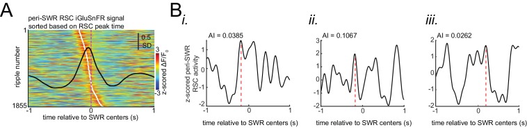 Figure 5—figure supplement 1.