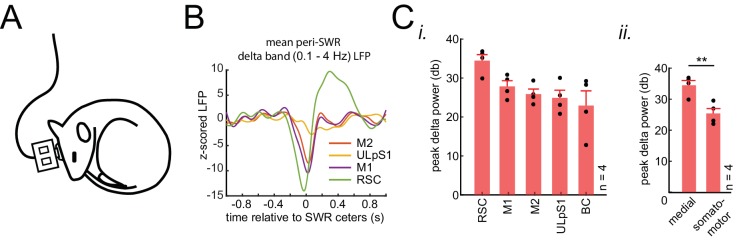 Figure 2—figure supplement 5.