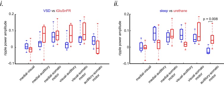 Figure 3—figure supplement 1.