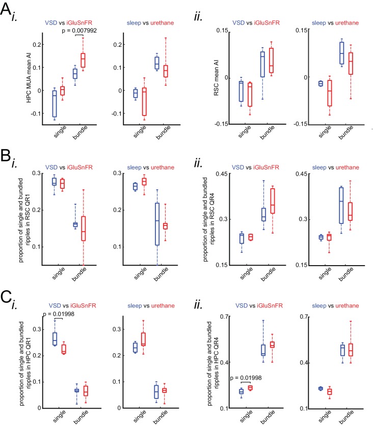 Figure 7—figure supplement 2.