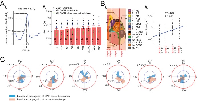 Figure 4—figure supplement 1.