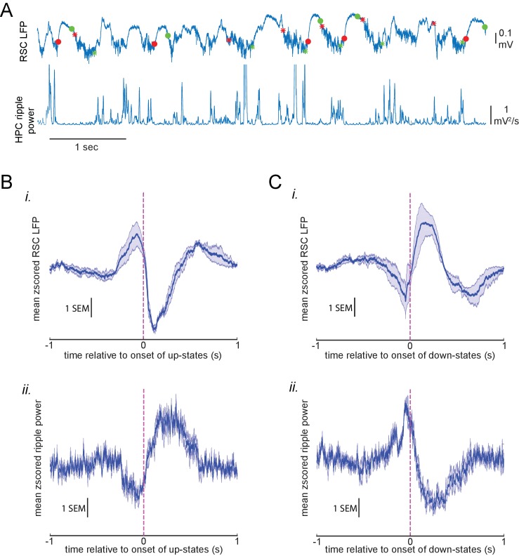 Figure 3—figure supplement 2.