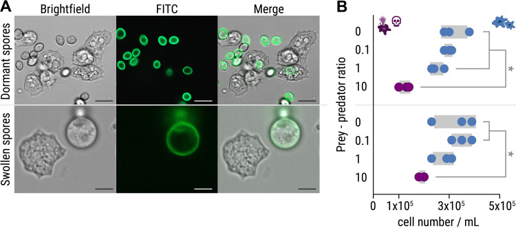 FIG 2