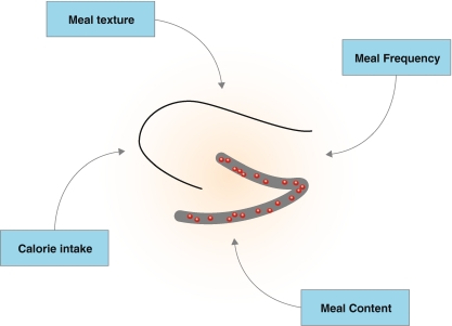 Fig. 3