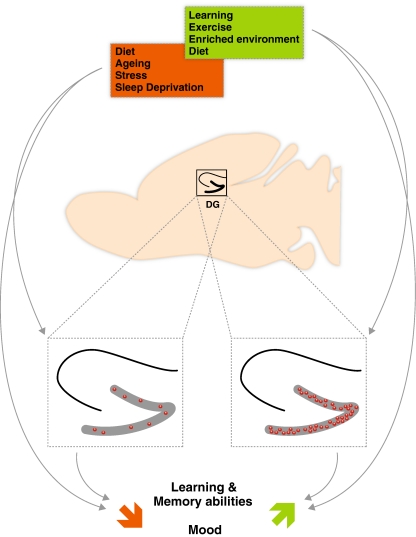 Fig. 2