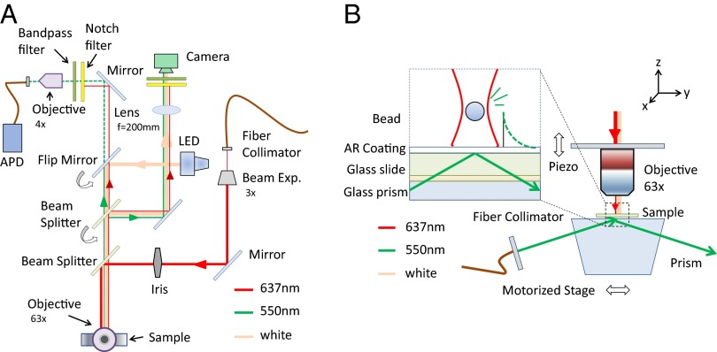 Fig. 1.