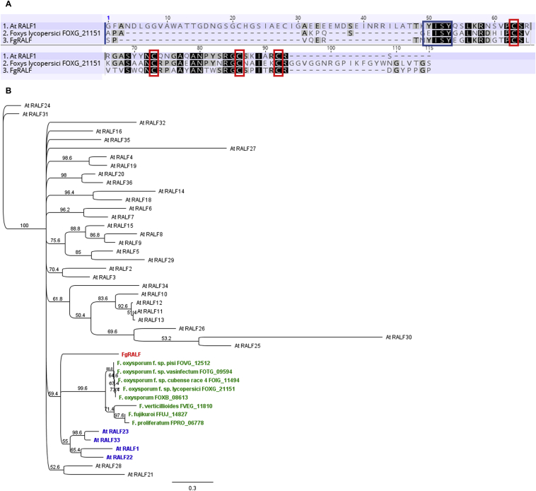 Fig. 1