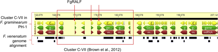 Fig. 2