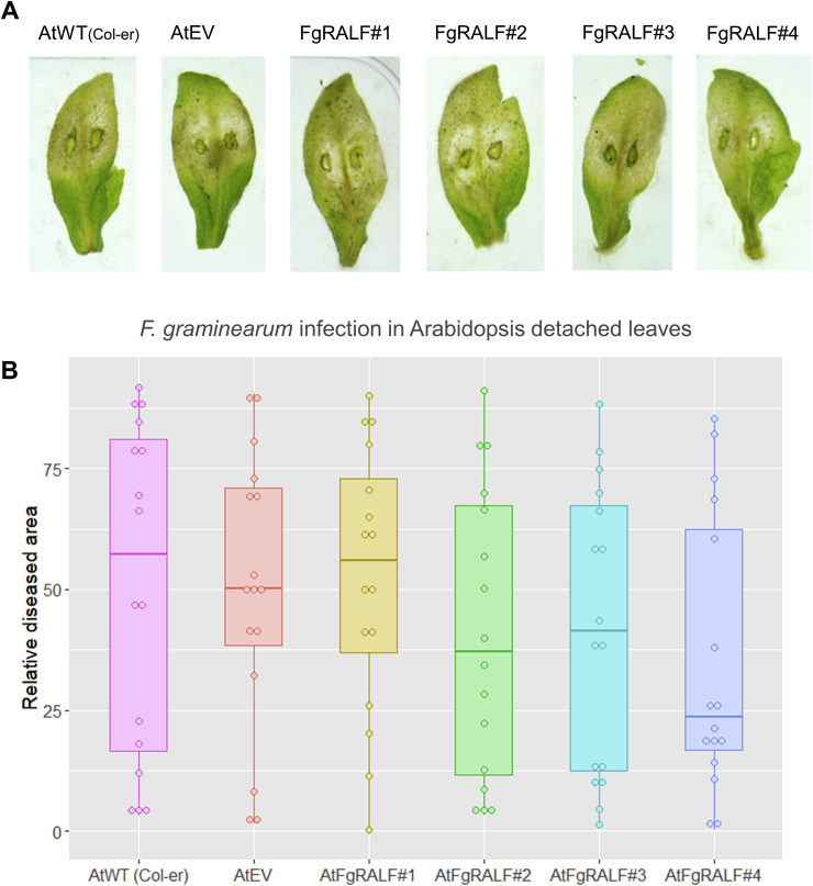 Fig. 6