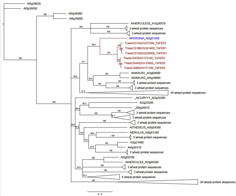 Fig. 7