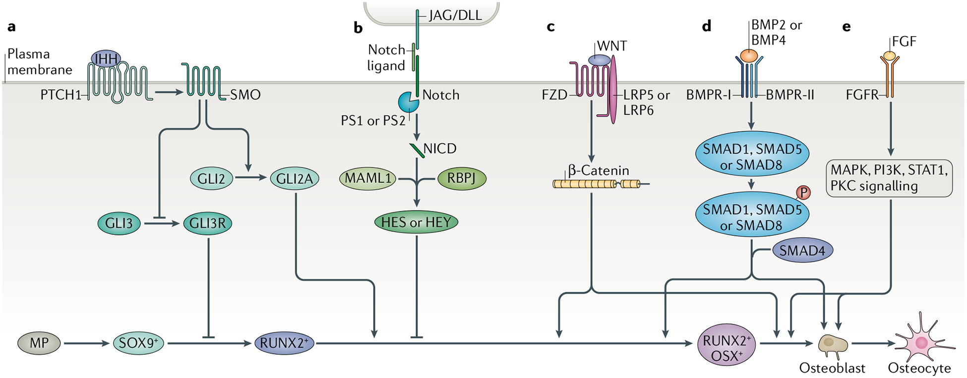 Fig. 4 |