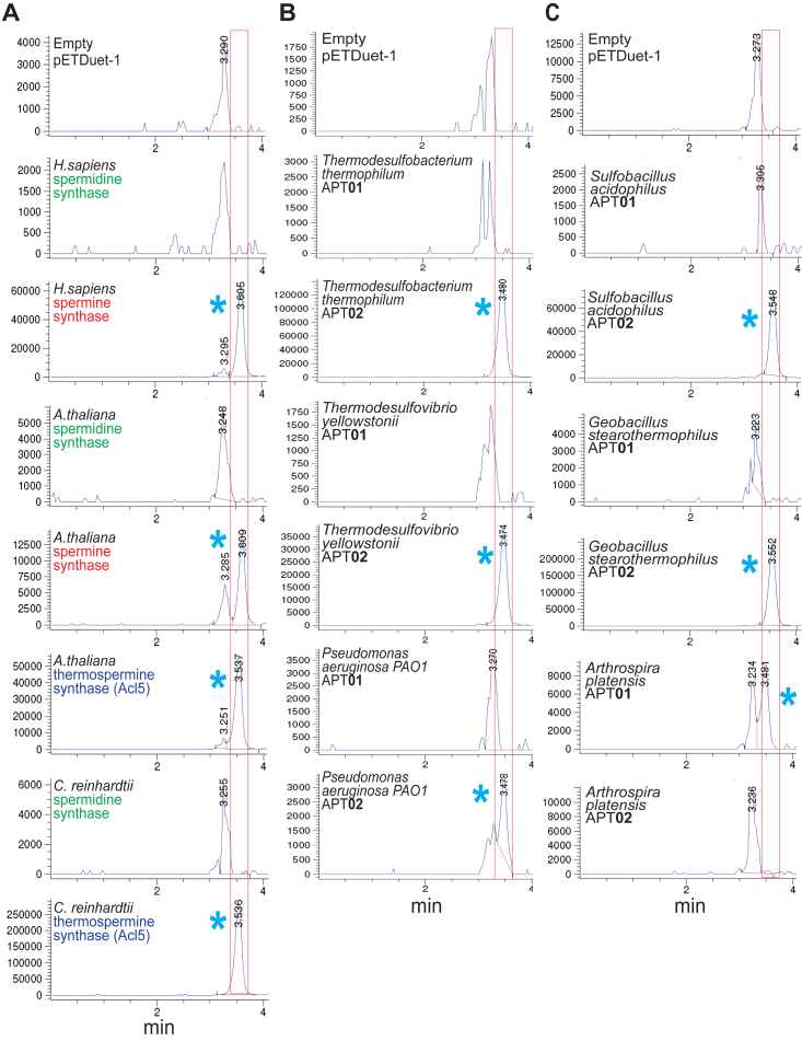 Figure 2