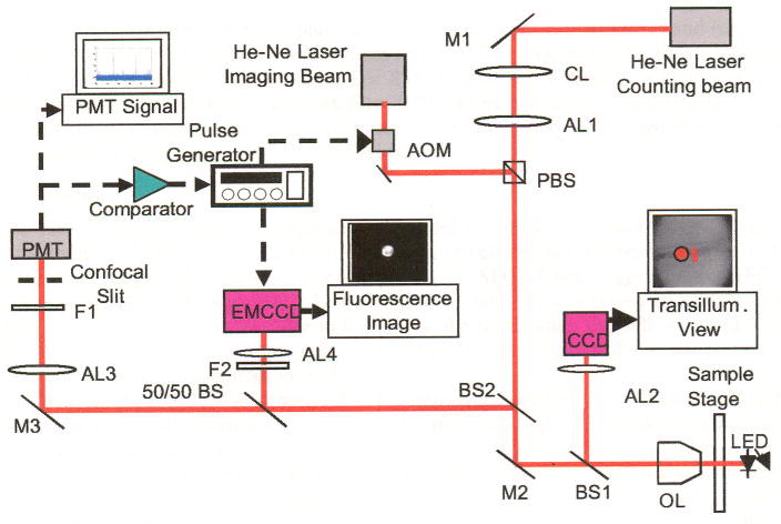 Fig. 1