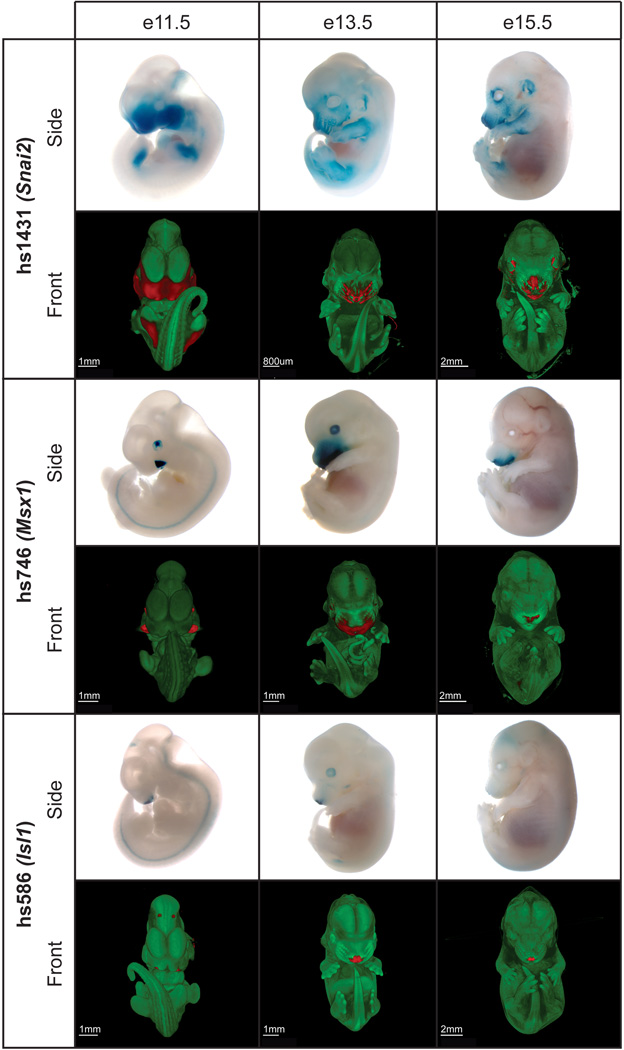 Fig. 5