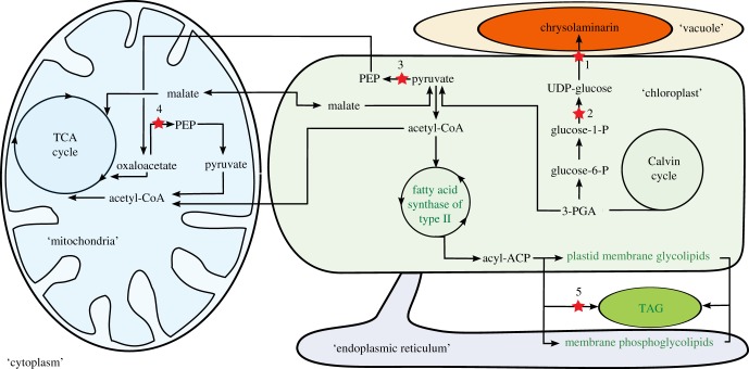 Figure 2.