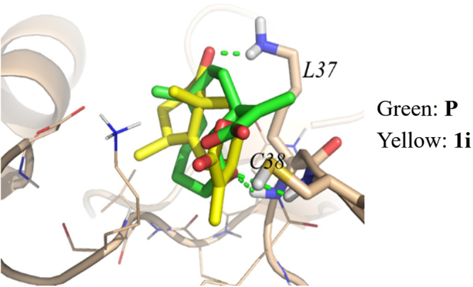 Figure 13