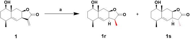 Figure 8