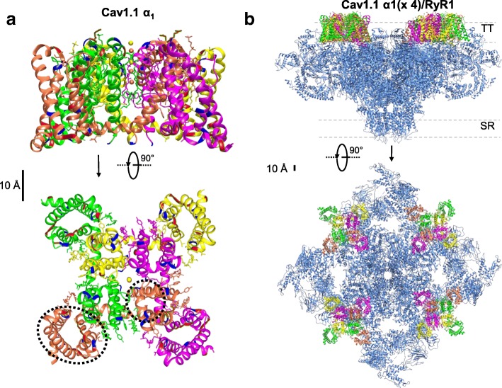 Fig. 11