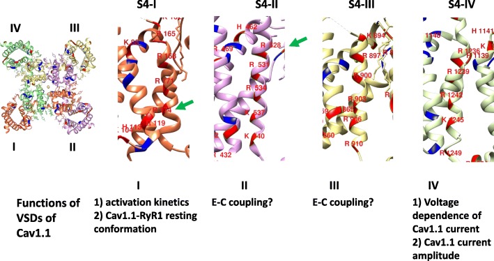 Fig. 12