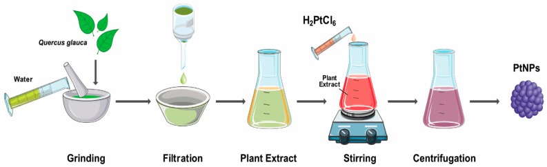 Figure 10