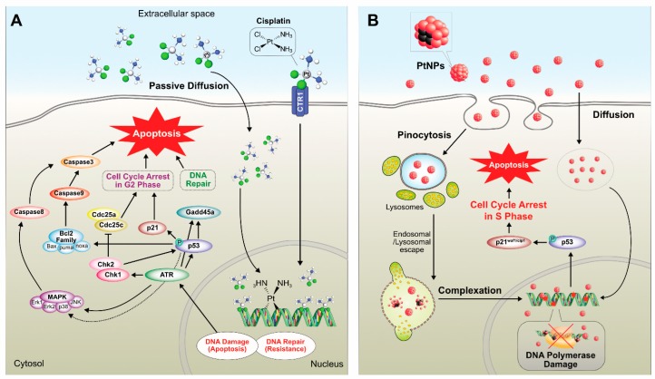 Figure 17