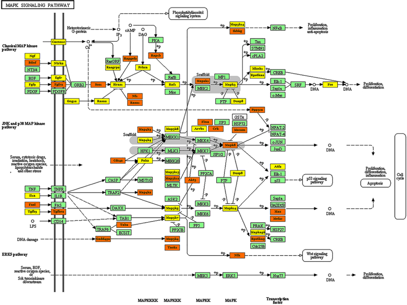 Fig. 4: