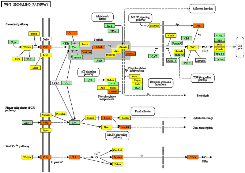 Fig. 3: