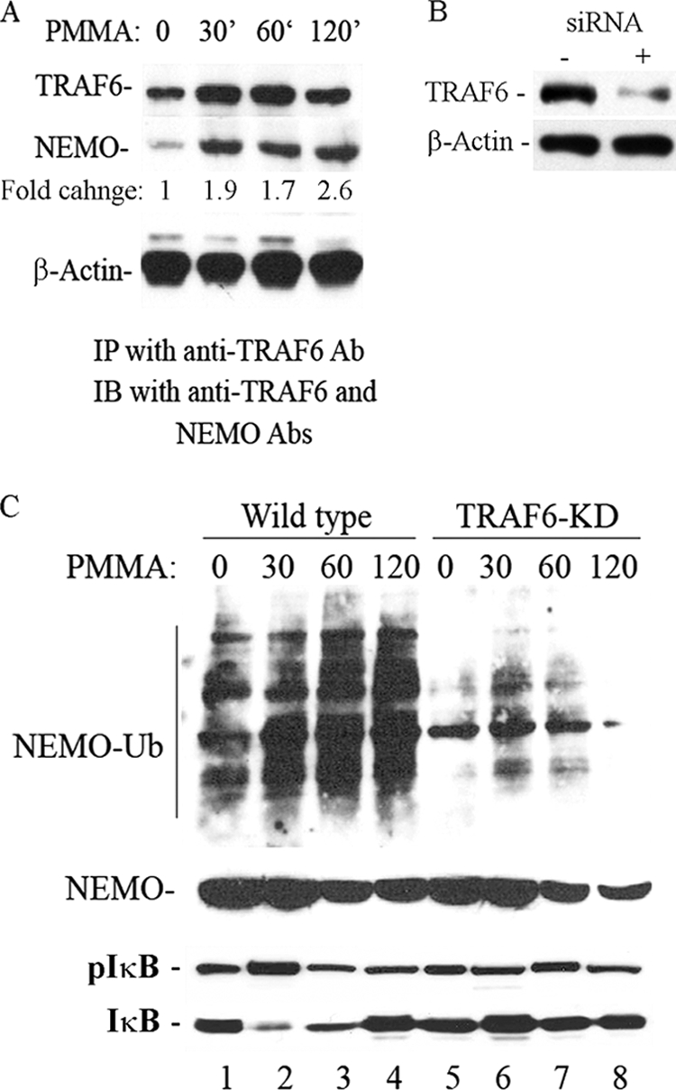 FIGURE 7.