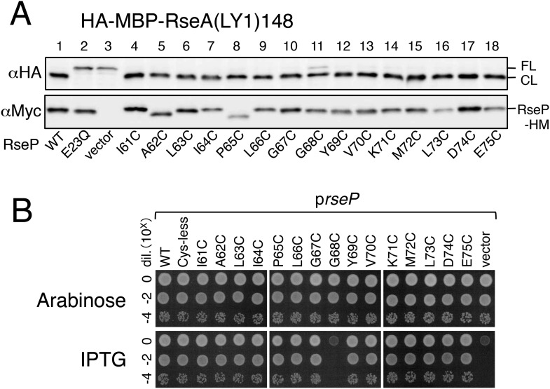 Figure 2—figure supplement 2.