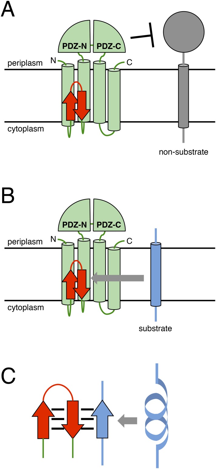 Figure 7.